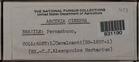 Image Associated With the Occurence